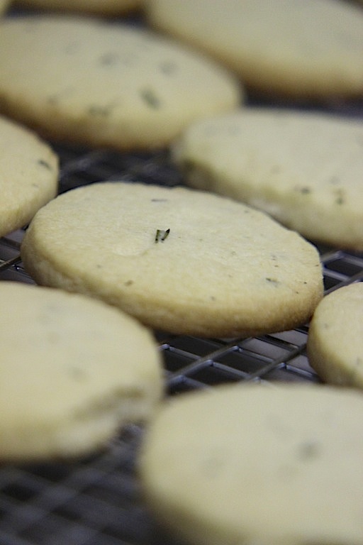 Honey Lavender and Rosemary Shortbread Cookies